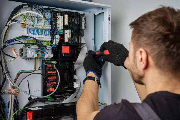 Licensed Electrical Panel Upgrade service in Demopolis, AL - No Joke electrician